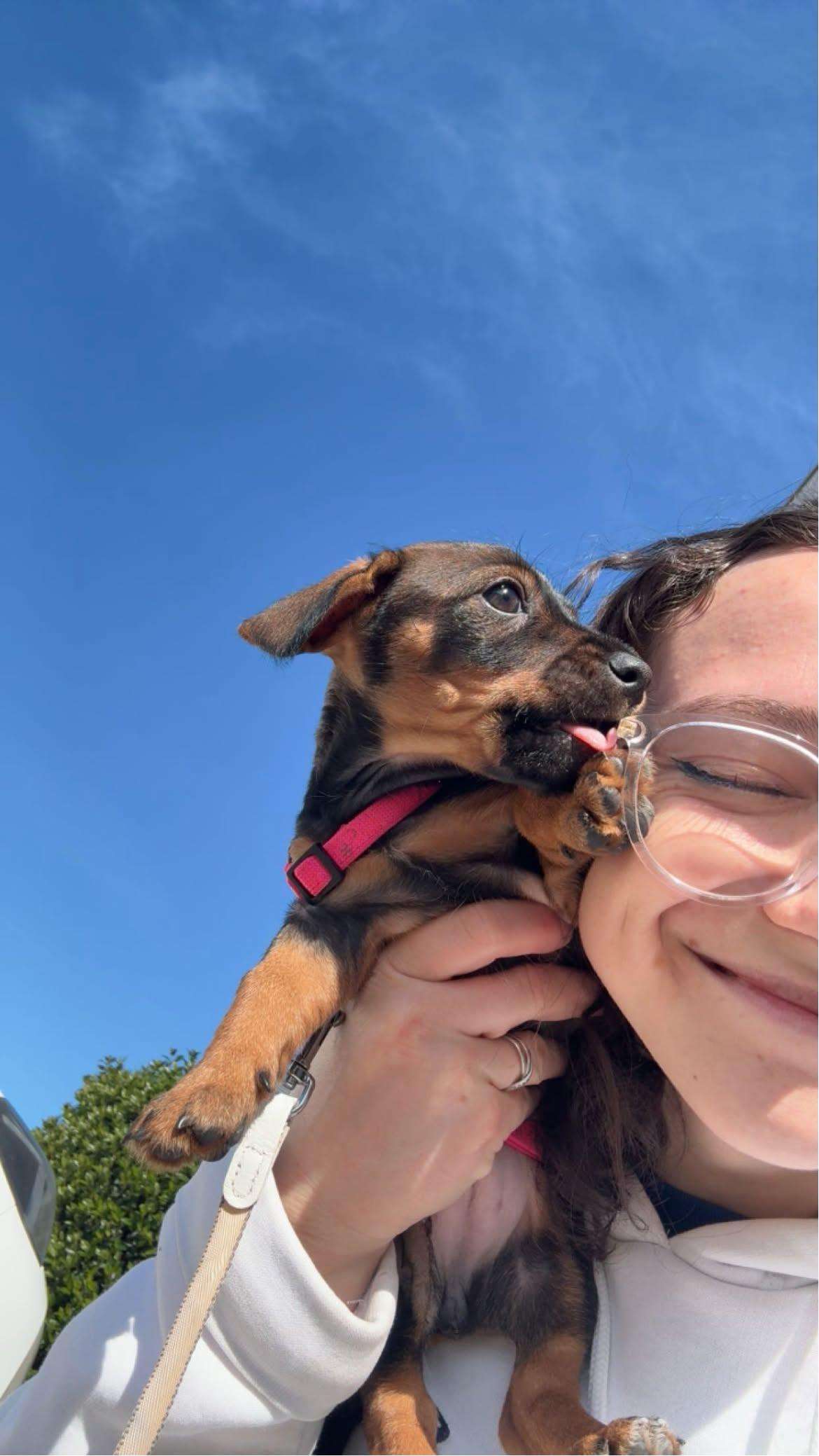 Eva joue avec un chiot au pelage noir et feu, qui lui tient la joue